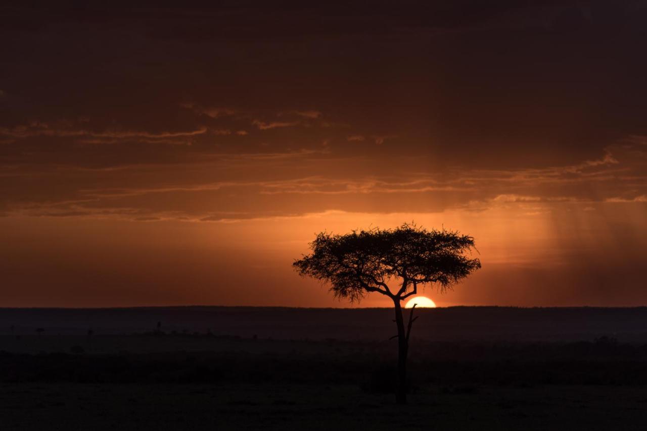 Villa Africa Safari Maasai Boma Serengeti Esterno foto