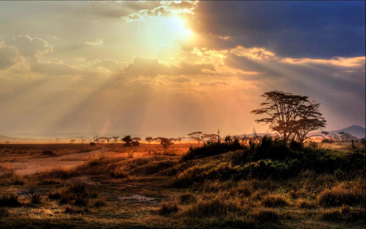 Villa Africa Safari Maasai Boma Serengeti Esterno foto